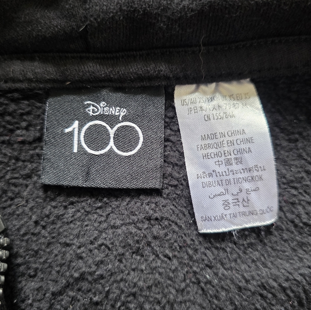 Disney Parks Mickey & Friends Disney100 Celebration Zip Front Hooded Sweatshirt - Picture 5 of 5